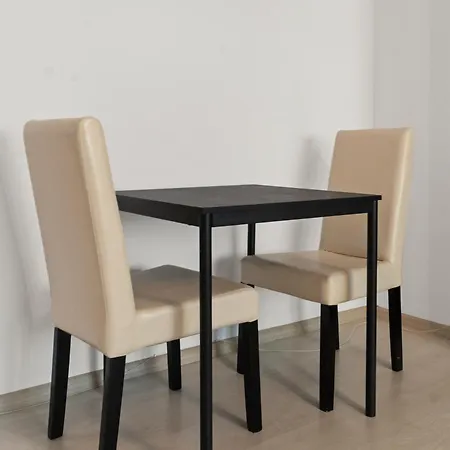 Apartment Downtown Obor